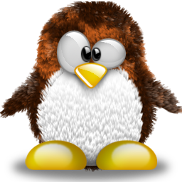 penguin pingouin pinguino 790